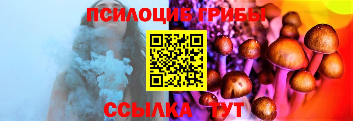 Галлюциногенные грибы мицелий Назарово